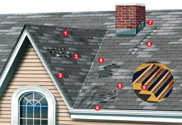 Signs You Need a New Roof - Dry Tech Roofing Company