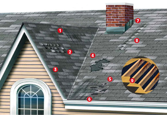 Signs You Need A New Roof Signs You Need a New Roof - Dry Tech Roofing Company